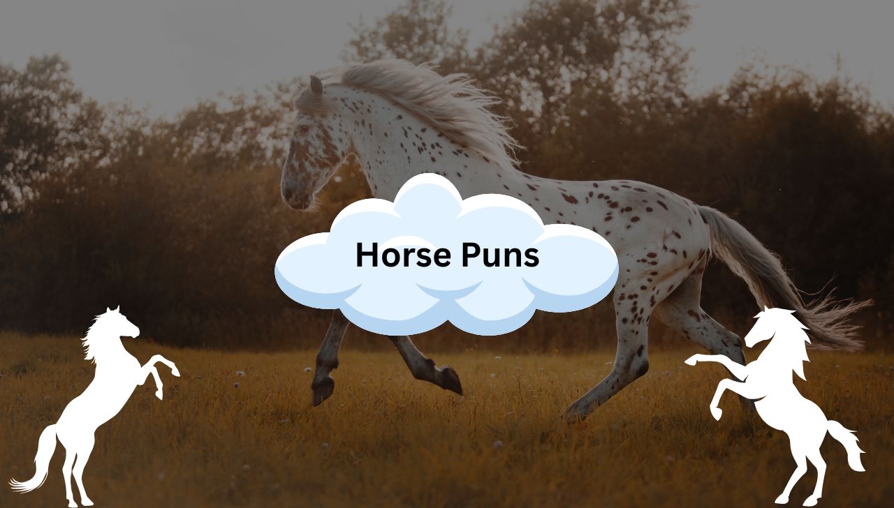 111+ Funny and Clever Horse Puns for Every Occasion