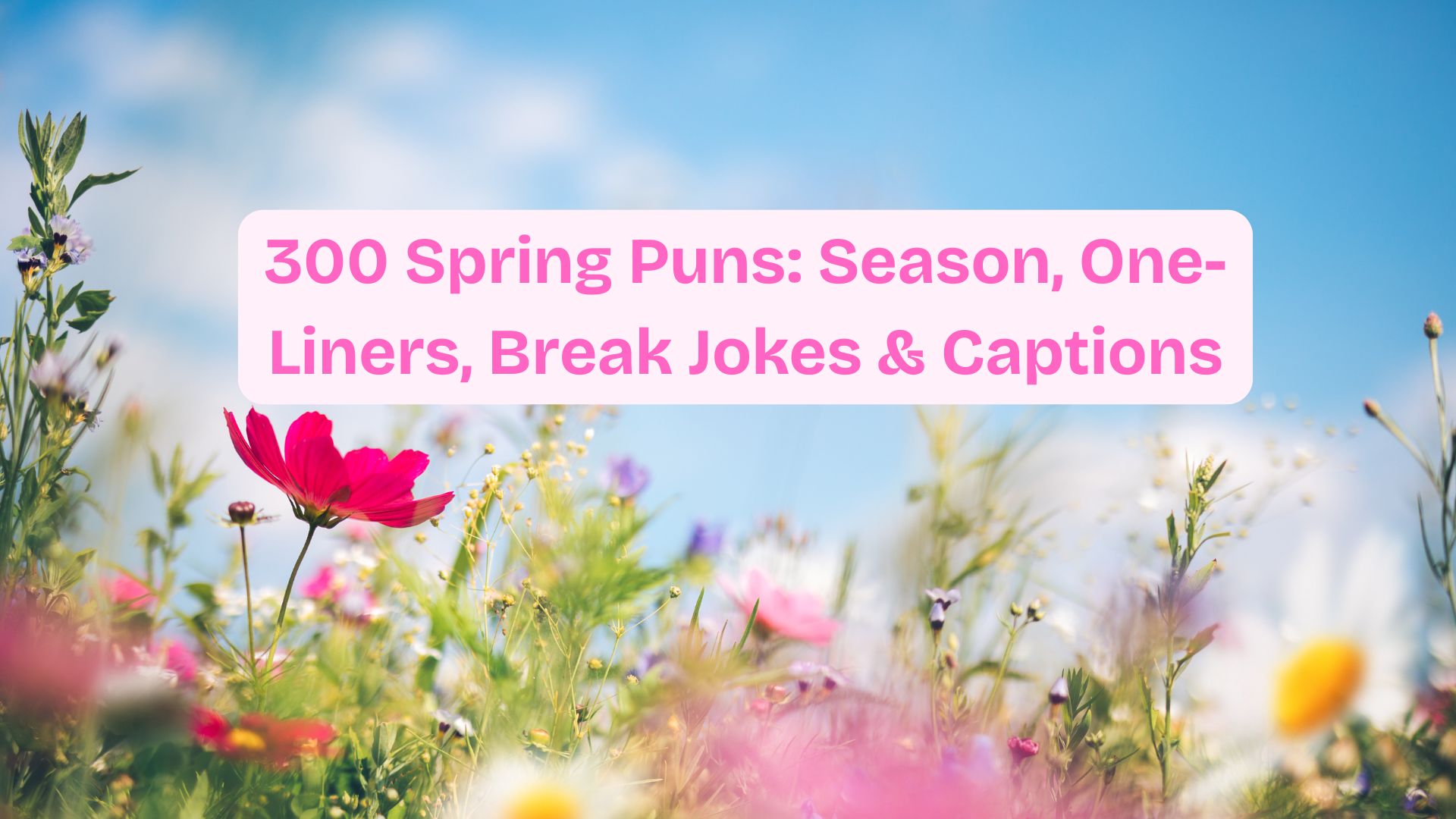 300 Spring Puns: Season, One-Liners, Break Jokes & Captions